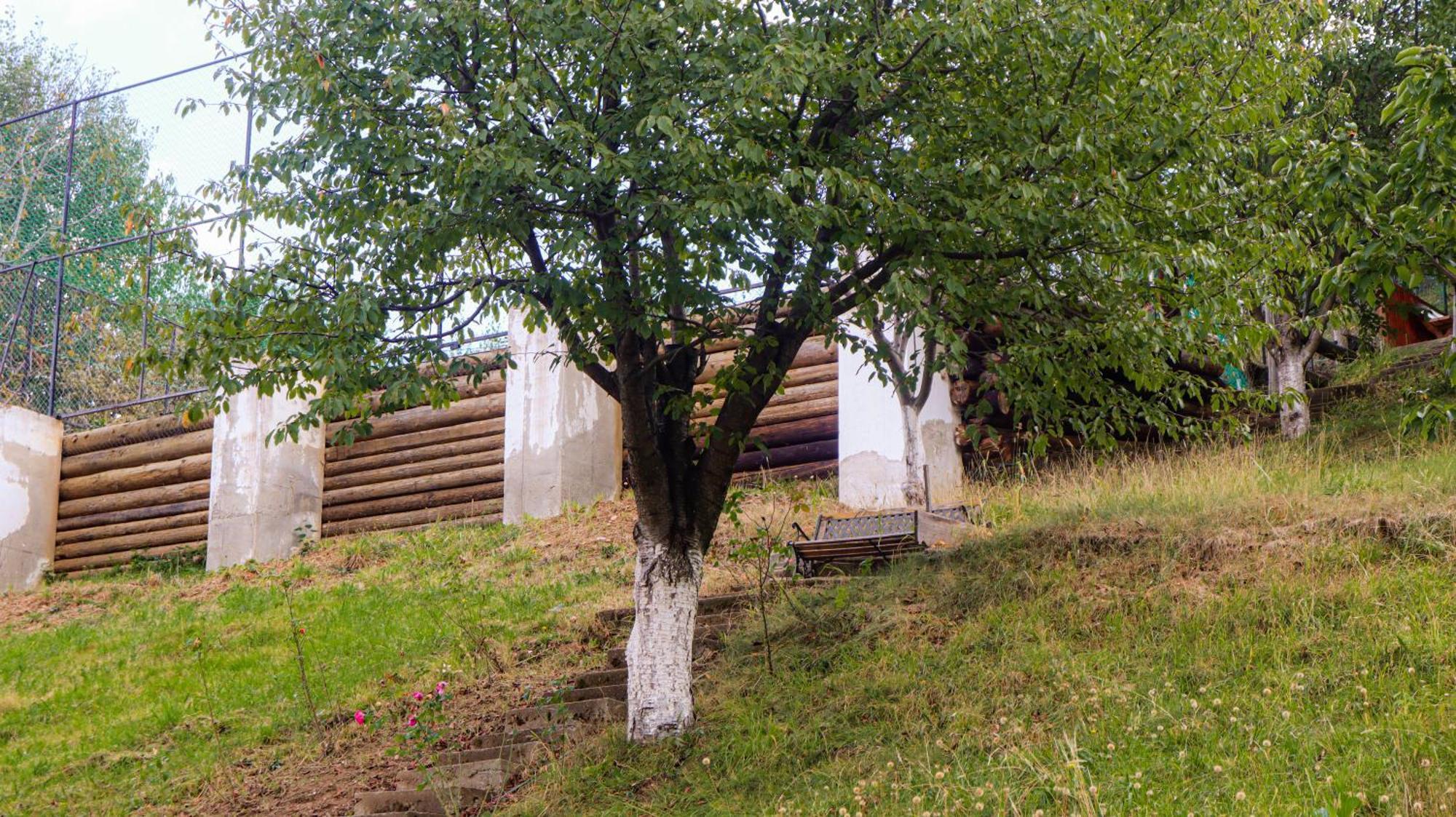 Marginimea Sibiului - Pensiunea Darian & David Orlat Dış mekan fotoğraf