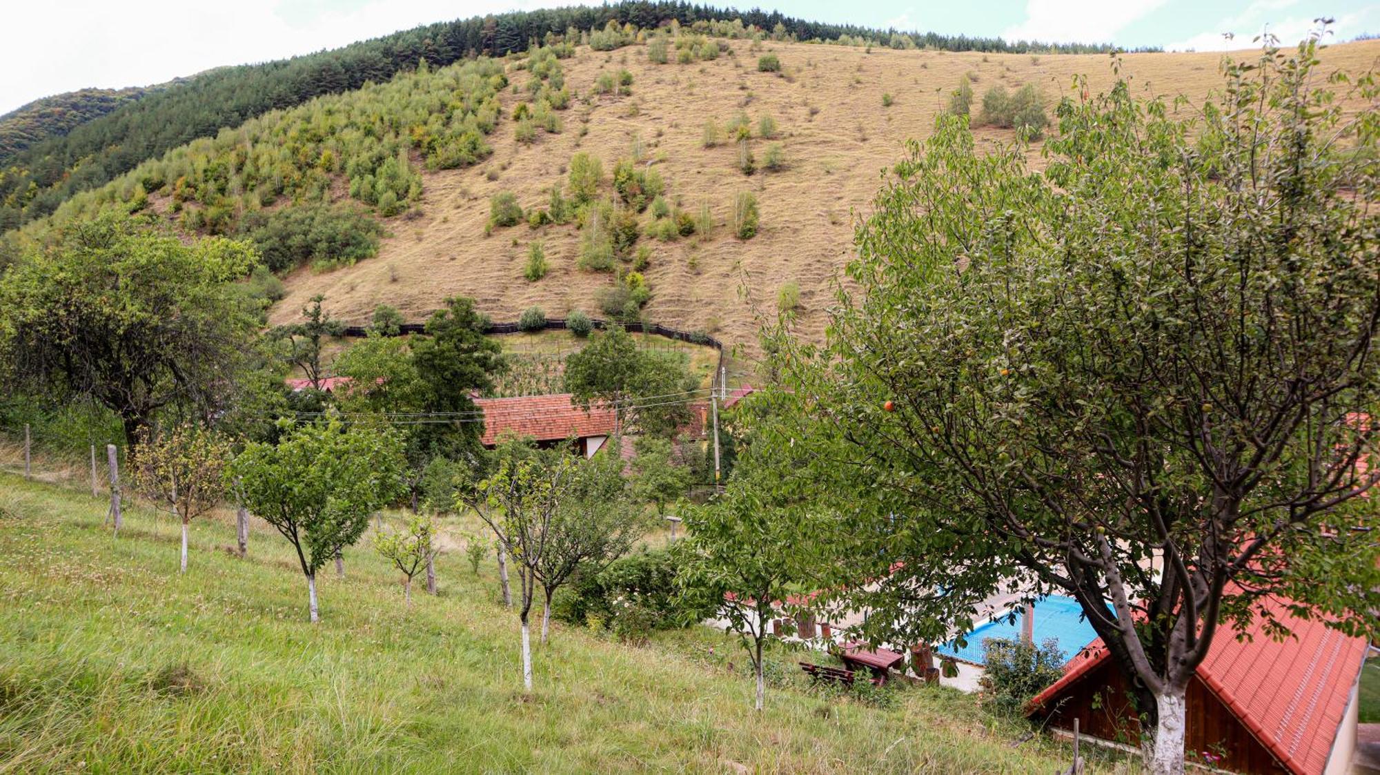 Marginimea Sibiului - Pensiunea Darian & David Orlat Dış mekan fotoğraf